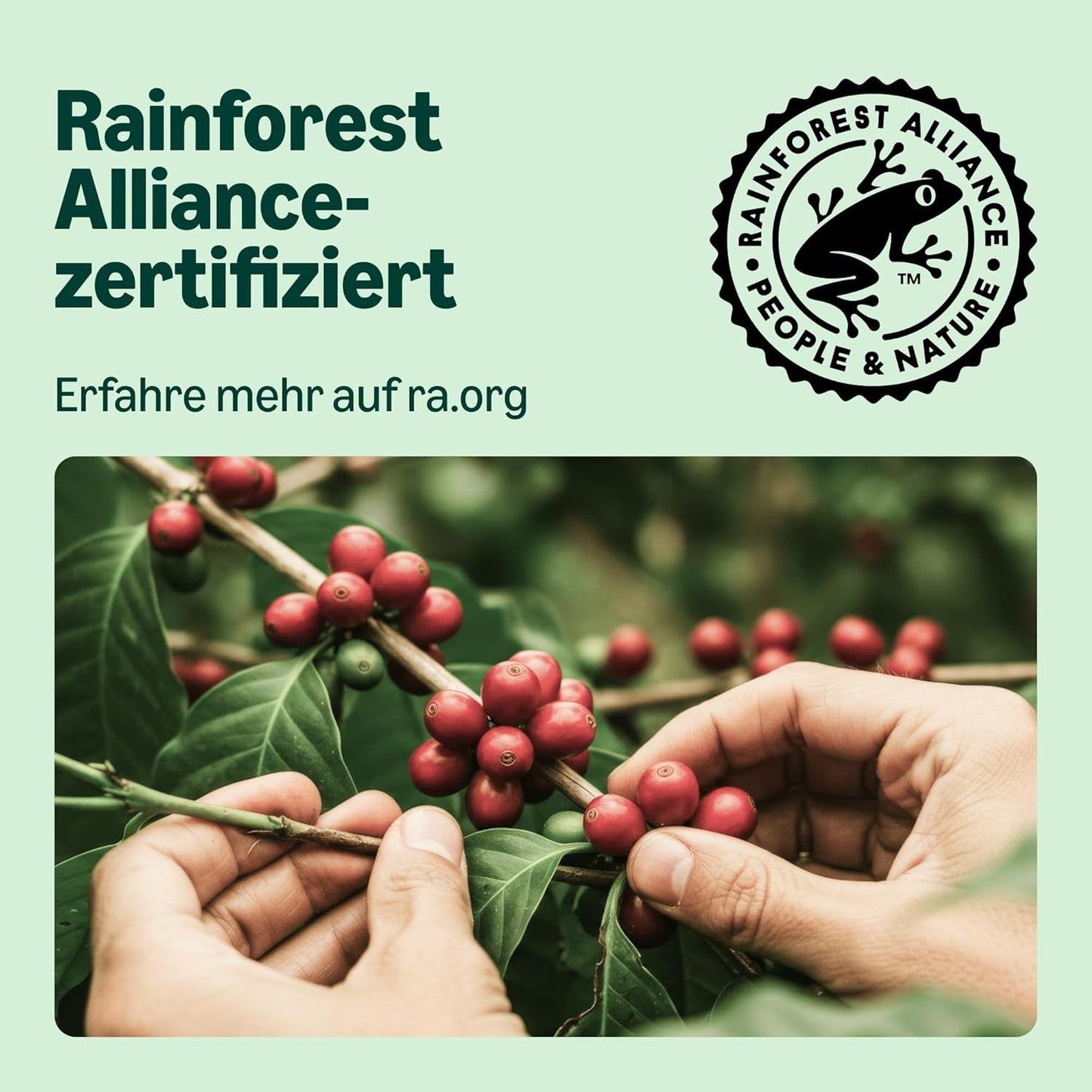 fra Amazon Lungo Aluminium-Kaffeekapseln, kompatibel med Nespresso, mittelgeröstet, 100 Stück (5 Packungen mit je 20 Stück) – Rainforest Alliance zertifiziert