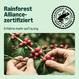 fra Amazon Lungo Aluminium-Kaffeekapseln, kompatibel med Nespresso, mittelgeröstet, 100 Stück (5 Packungen mit je 20 Stück) – Rainforest Alliance zertifiziert