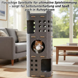 Tæpper og møbler, kæledyr, huler og huse, katte, senge til katte, katte - senge, madrasser