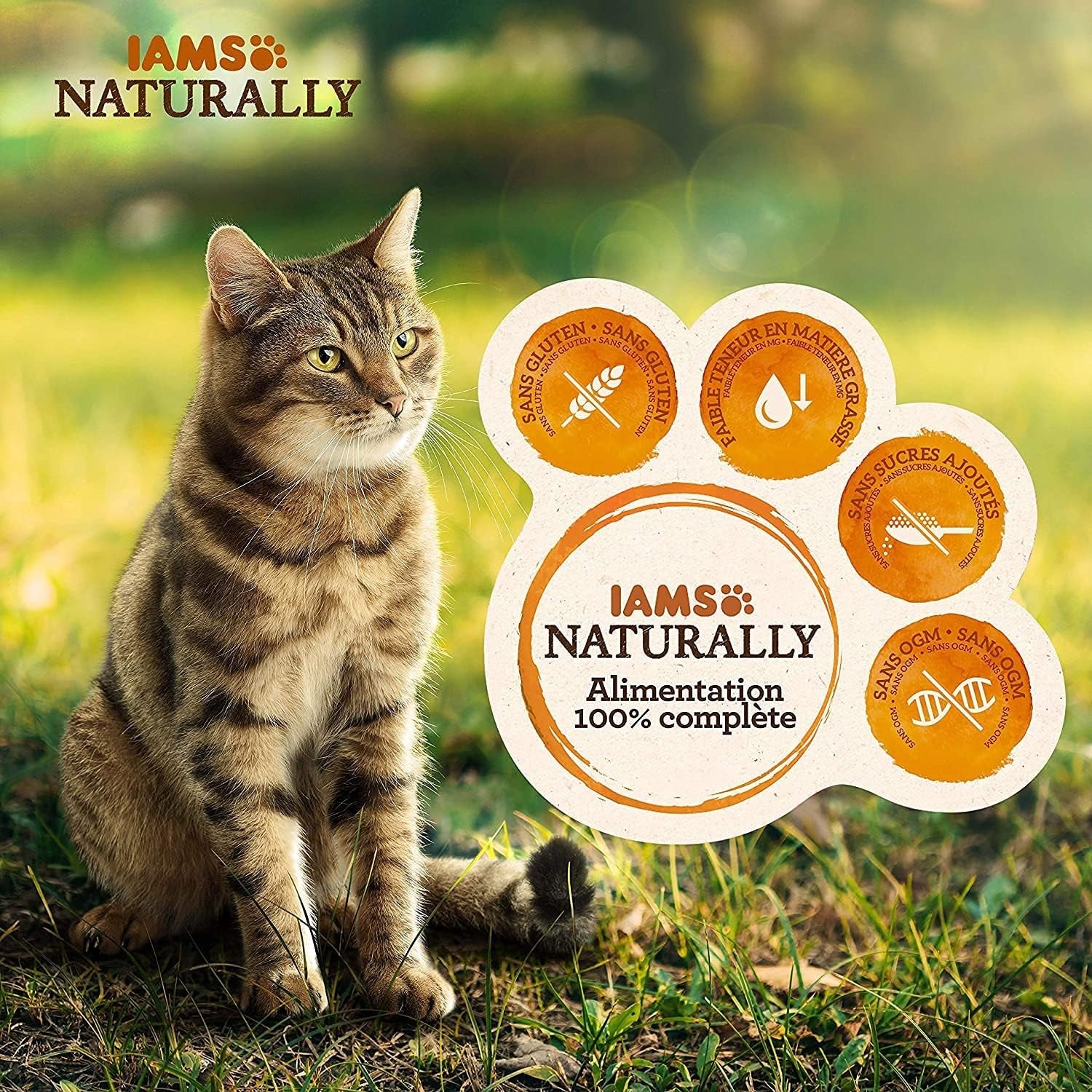 IAMS naturligt våd kattefoder i sauce - vådfoder af høj kvalitet med fisk til voksne katte, havsamling, 12 x 85 g