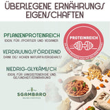 Økologisk pasta Trivelline N.47 - 500g med speltmel, linsemel og quinoamel - Rig på protein, kilde til fiber og protein