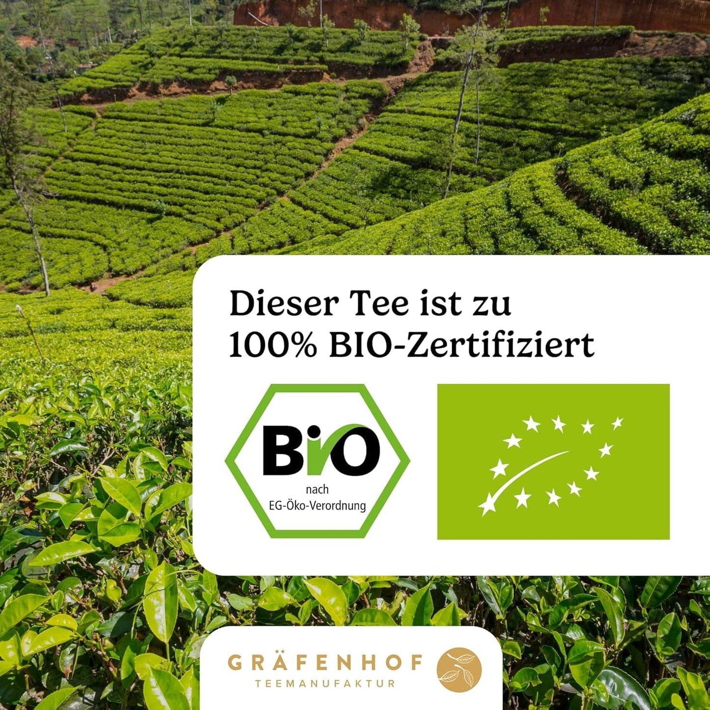 Økologisk Yerba Mate Tea Den originale 1 kg Loose Mate Tea Høj Koffein Uristet Lufttørret Lab Testet Mate Blade pakket i Tyskland Premium kvalitet Gräfenhof