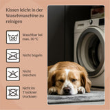 Senge og sofaer, tæpper og møbler, kæledyr, katte, senge til katte, katte - senge, madrasser
