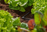 L-stykke til Gardena Micro-Drip 4,6 mm (3/16 tomme): Til ændring af distributionsretning og dryplinjer med 90 grader, knækfri installation, nem og fleksibel tilslutningsteknologi (13212-20)
