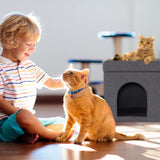 Tæpper og møbler, kæledyr, huler og huse, katte, senge til katte, katte - senge, madrasser