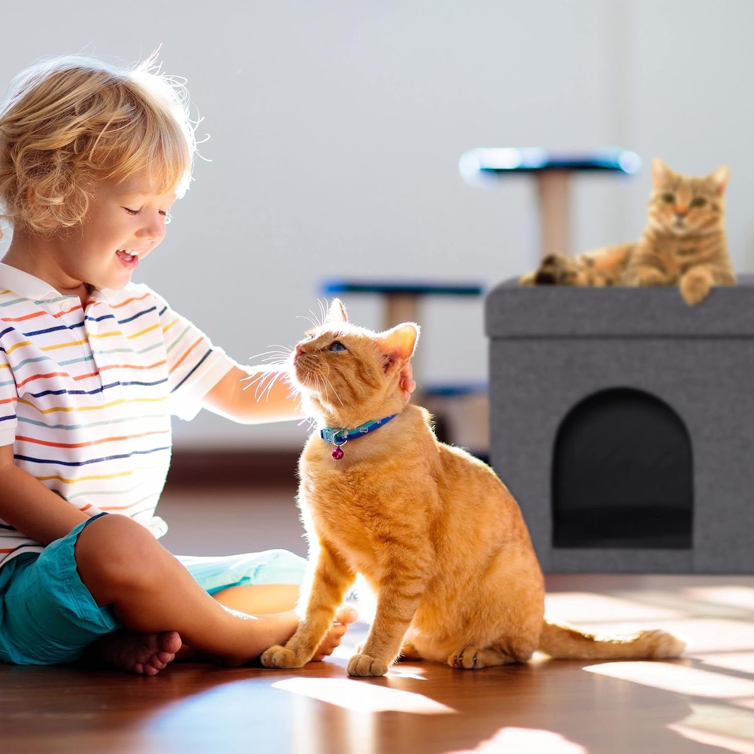 Tæpper og møbler, kæledyr, huler og huse, katte, senge til katte, katte - senge, madrasser