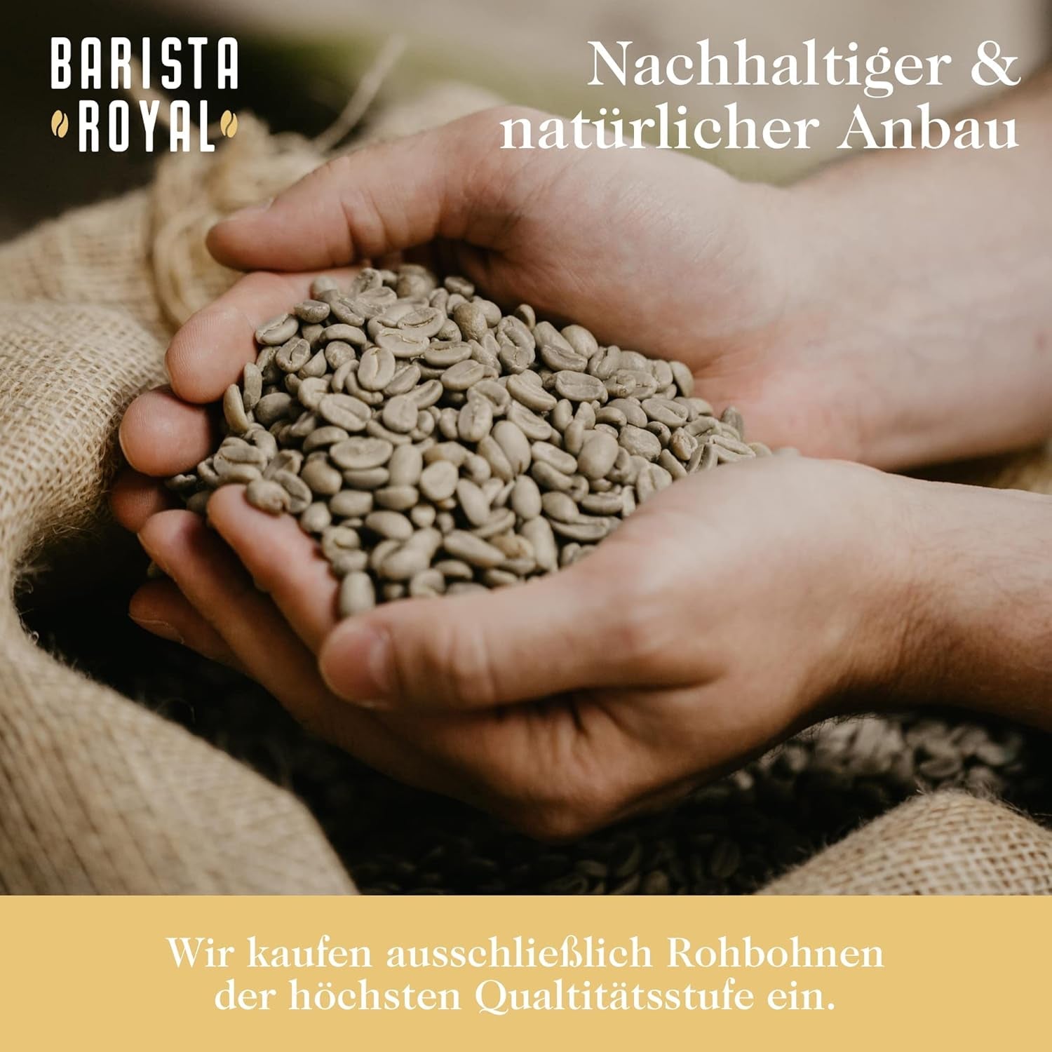 Hele bønne kaffesmagningssæt 5 x 350g | Discovery Pakke Kaffebønner i gavesæt | arabisk | Fair Trade | Vegansk | Ideel til automatiske espressomaskiner, filter-espressomaskiner, pour-over-espressomaskiner og franske presser | KONGELIG BARISTA