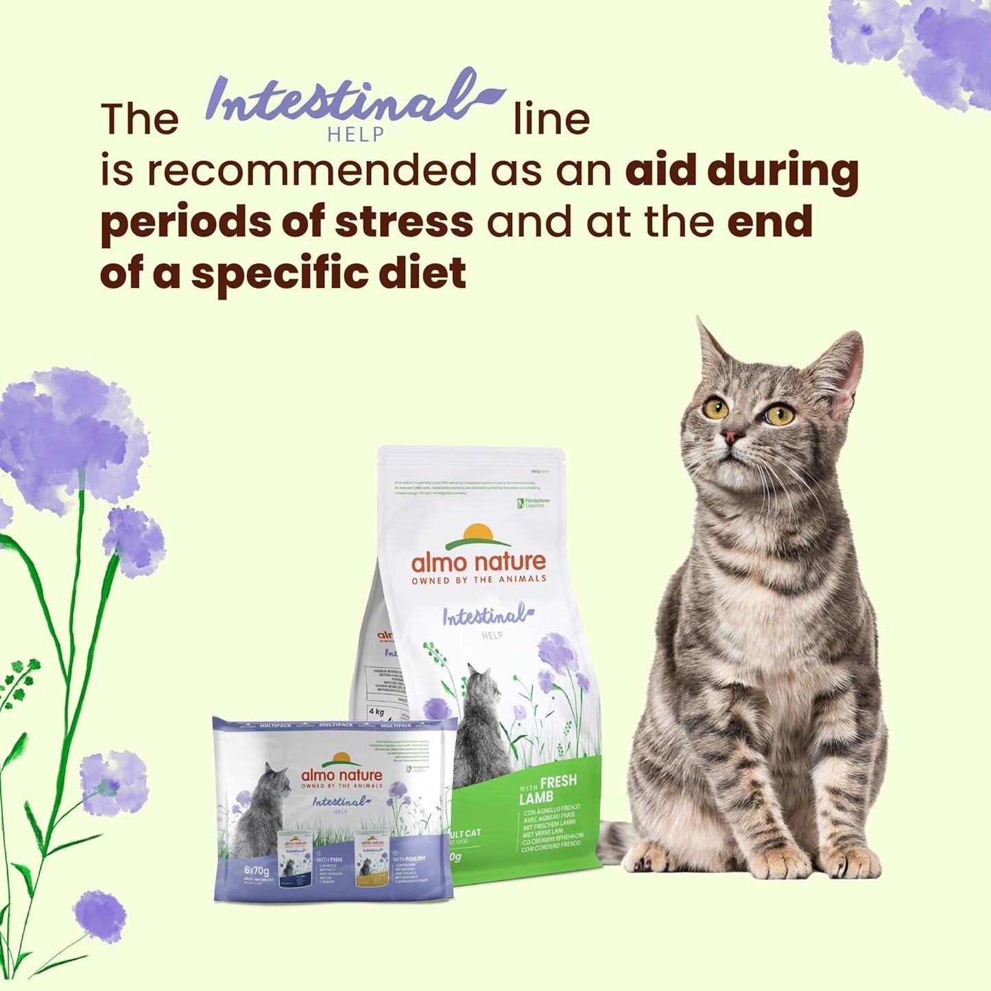 Almo Nature Functional - Tarmhjælp - Vådfoder til voksne og modne katte med følsomme tarme - med fjerkræ - understøtter mikrobiomet - 70 g (pakke med 30)