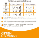 IAMS Delights Kitten Nassfutter - Multipack Katzenfutter mit Hunn i sauce, højkvalitets Futter for Junior Kätzchen af ​​1-12 Monate, 12 x 85 g