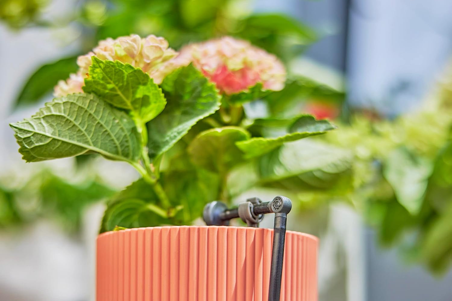 L-stykke til Gardena Micro-Drip 4,6 mm (3/16 tomme): Til ændring af distributionsretning og dryplinjer med 90 grader, knækfri installation, nem og fleksibel tilslutningsteknologi (13212-20)