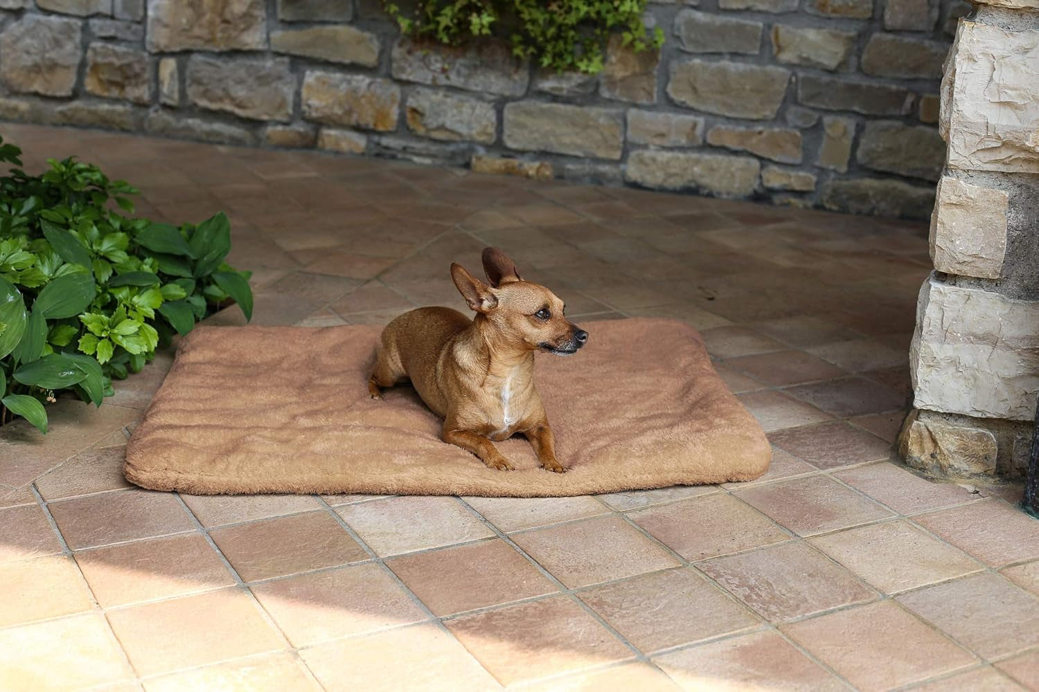 Sogni E Capricci Super Soft Mat, Creme, 104X75CM, Polyester, Tæpper og dyner Naty Shop Brun 62X50Cm