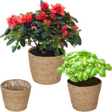 Relaxdays Seagrass Urtepotter Sæt med 3 Runde Blomster- og Urteplantekurv med Folie 3 Størrelser Plantekasse Natural