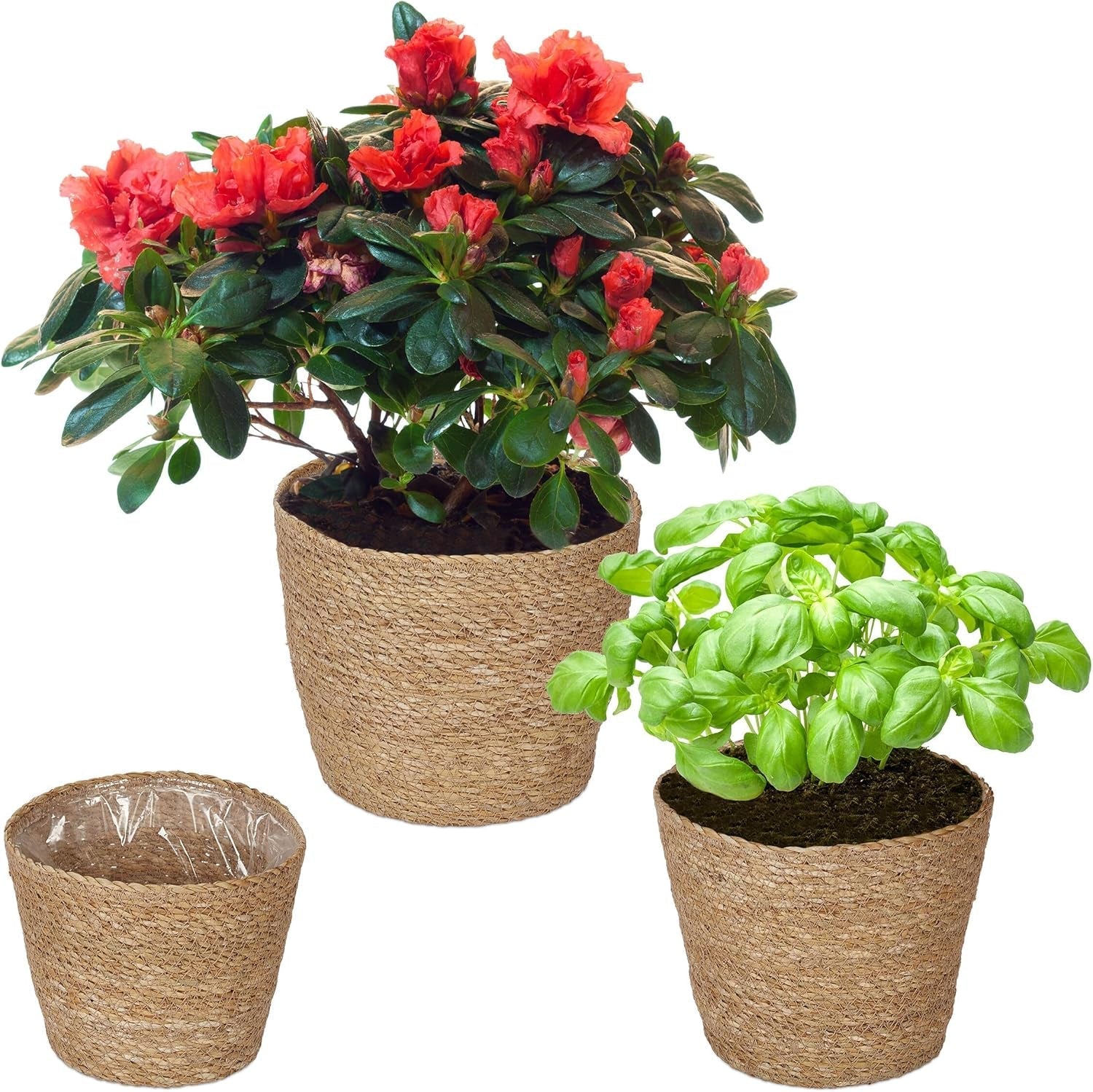 Relaxdays Seagrass Urtepotter Sæt med 3 Runde Blomster- og Urteplantekurv med Folie 3 Størrelser Plantekasse Natural