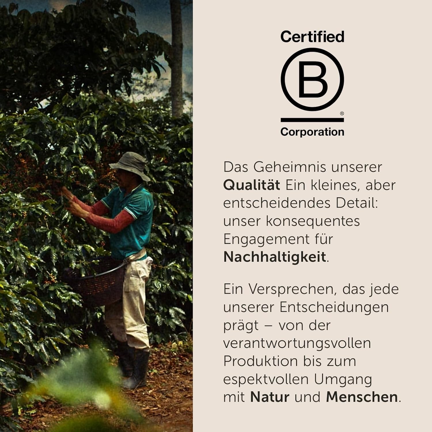 illy, Iperespresso Arabica Selection Kolombien, 100% Arabica mit Fruchtigen Noten von Zitrusfrüchten og Roten Früchten, Gesmack mit Tarter Säure, 6 Packungen à 18 Kapseln (Insgesamt 108 Kapseln)