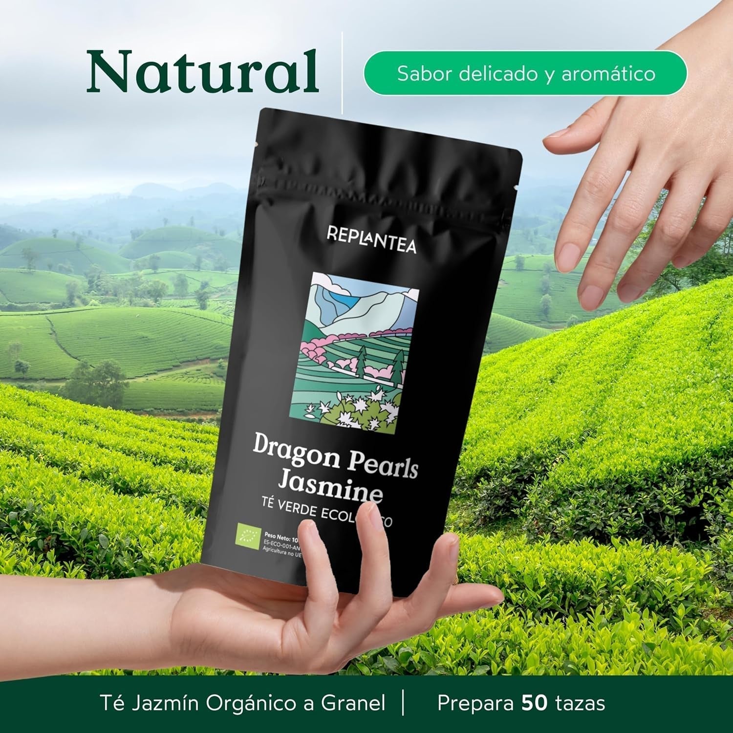 Økologisk te Jasmin Dragon Pearls (100 g) | Premium grøn te i form af håndrullede jasminperler | Tespecialitet med delikat blomsteraroma | GENPLANT