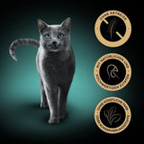 SHEBA Wet Cat Food, Nature's Collection i Tyrkietsauce, 2 x 11 x 85g