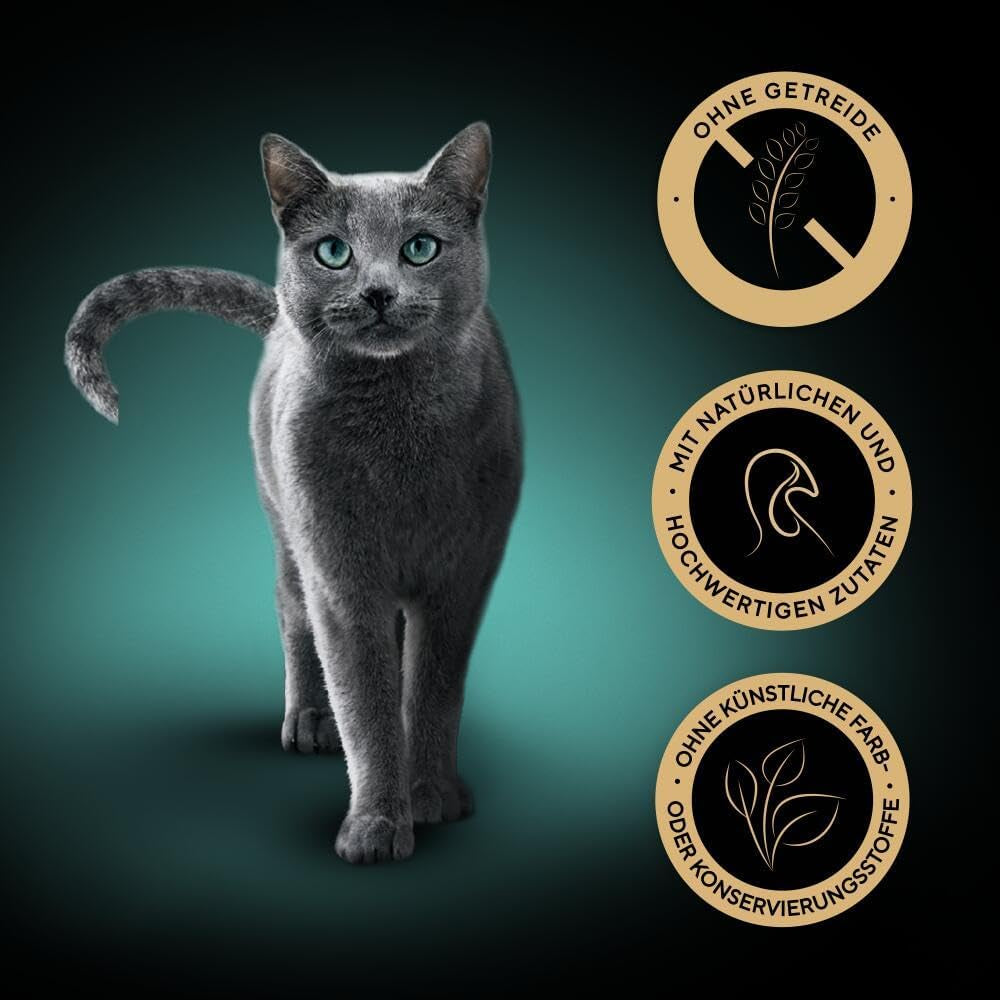 SHEBA Wet Cat Food, Nature's Collection i Tyrkietsauce, 2 x 11 x 85g