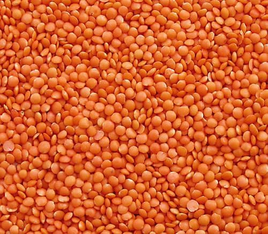Seba Garden Red Linser 1 kg - Premium hele linser fra Canada - Massor Dal, ikke-GMO, høj i protein, høj i fiber - helt naturlig, vegansk, glutenfri, ideel til supper og karryretter
