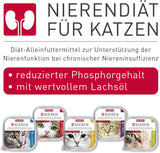 BEAPHAR - Renal diæt med kylling - Fuldfoder til katte med kronisk nyresvigt - Til at understøtte nyrefunktionen - 100 g