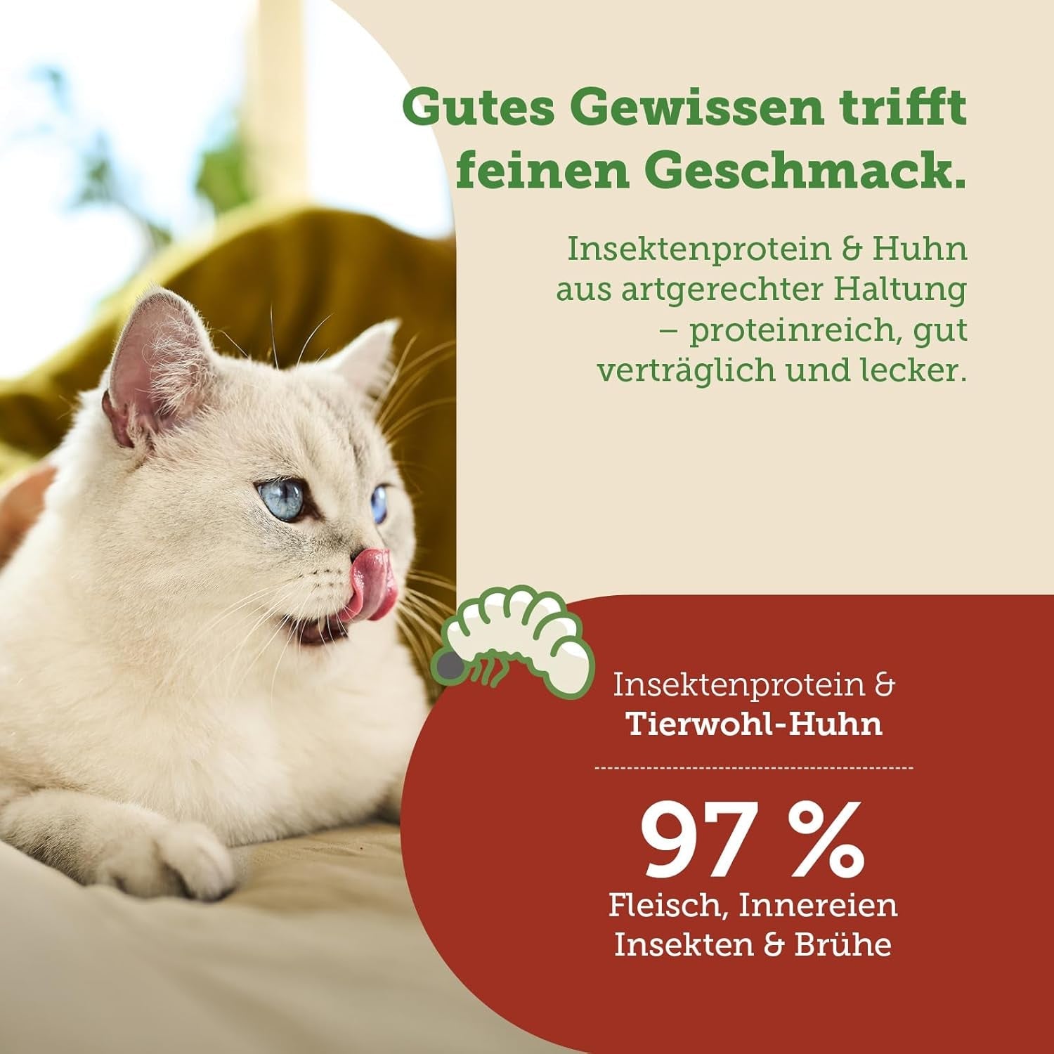 MERA Cats Nature Insect Premium Katzenfutter Nass 12x85g | ohne Zucker und Getreide| Nachhaltig & mit viel Insektenprotein | Voksen Katzennassfutter