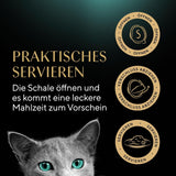 SHEBA-fileter Voksen Katzenfutter i Sauce med Kylling, Hochseefisch og Garnelen 16 x 60 g Shell
