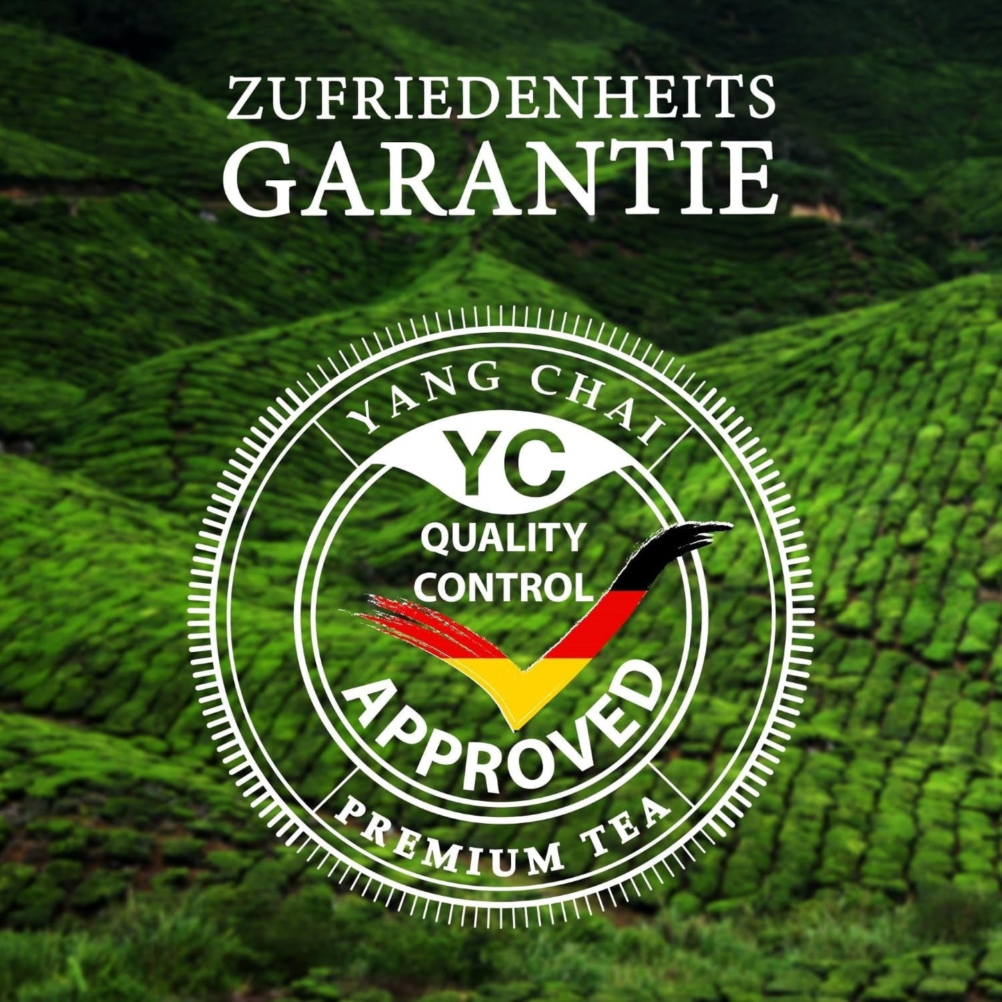 YC Yang Chai Sencha Grøn te BIO 250G - Japansk løs te med bergamot smag - Original japansk grøn te "Sencha Dynasty" fra kontrolleret økologisk dyrkning