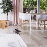 Tæpper og møbler, kæledyr, huler og huse, katte, senge til katte, katte - senge, madrasser