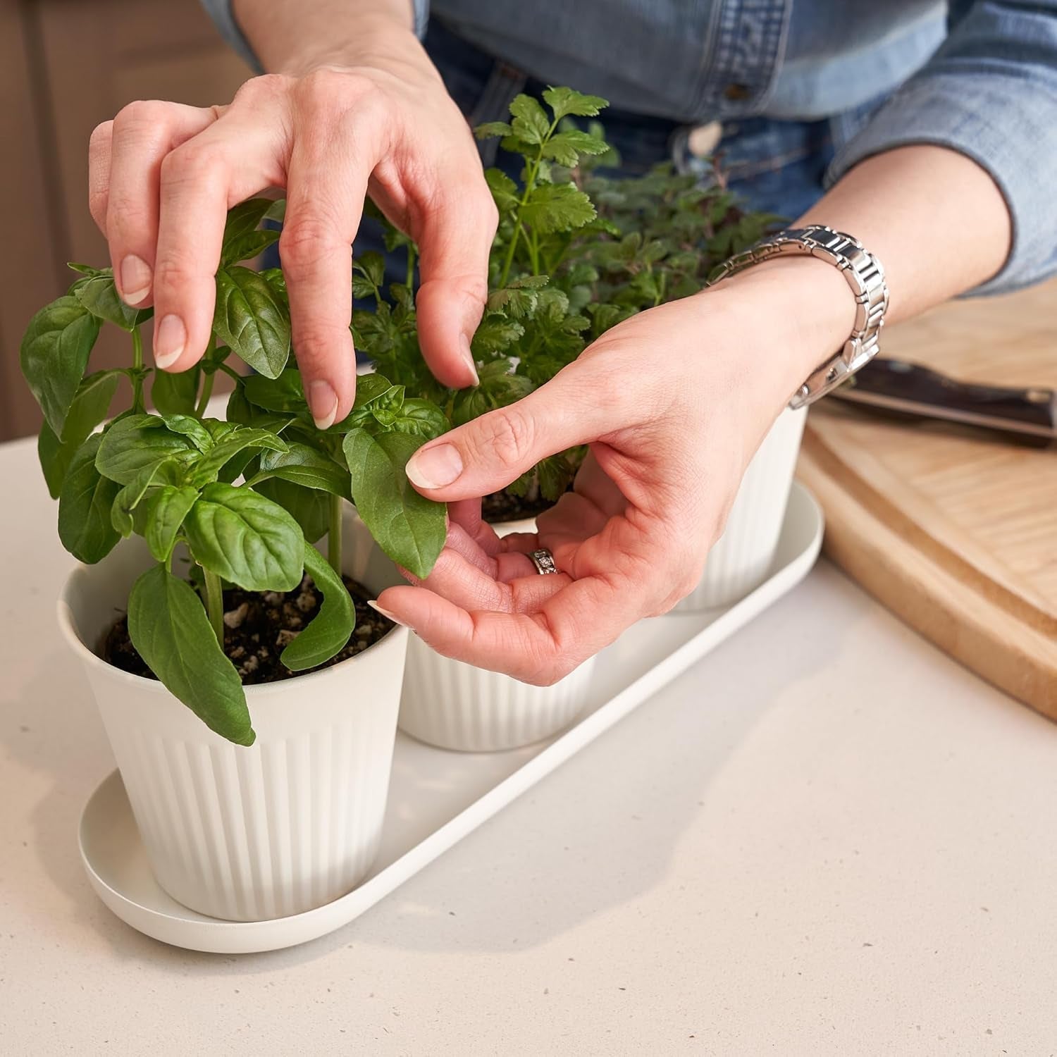 Sæt med 3 smukke urtehavekrukker, perfekt til enhver vindueskarm eller køkkenbord, et moderne dekorativt haveplantesæt med bakke og...