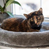 Tæpper og møbler, vinduessæder, kæledyr, katte, senge til katte, katte - senge, madrasser
