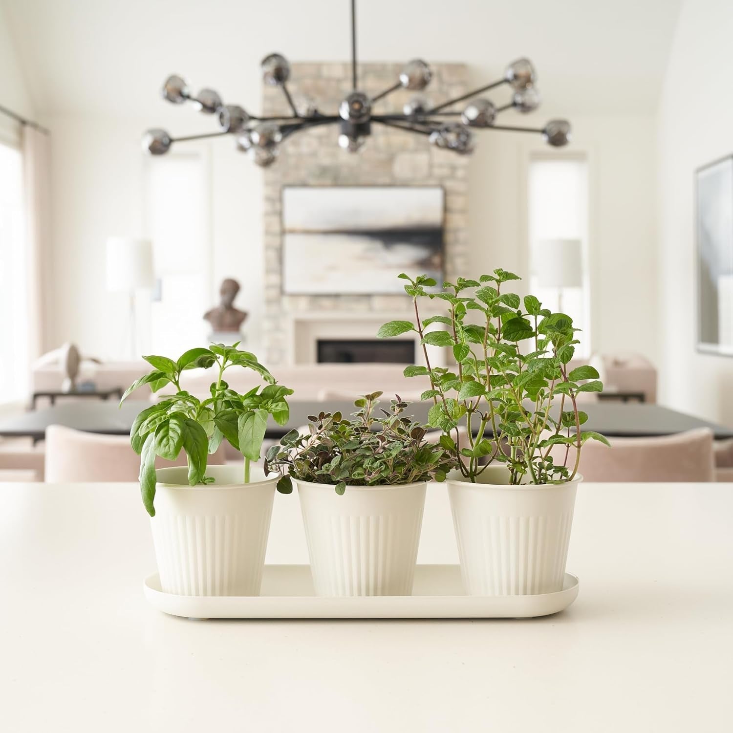 Sæt med 3 smukke urtehavekrukker, perfekt til enhver vindueskarm eller køkkenbord, et moderne dekorativt haveplantesæt med bakke og...