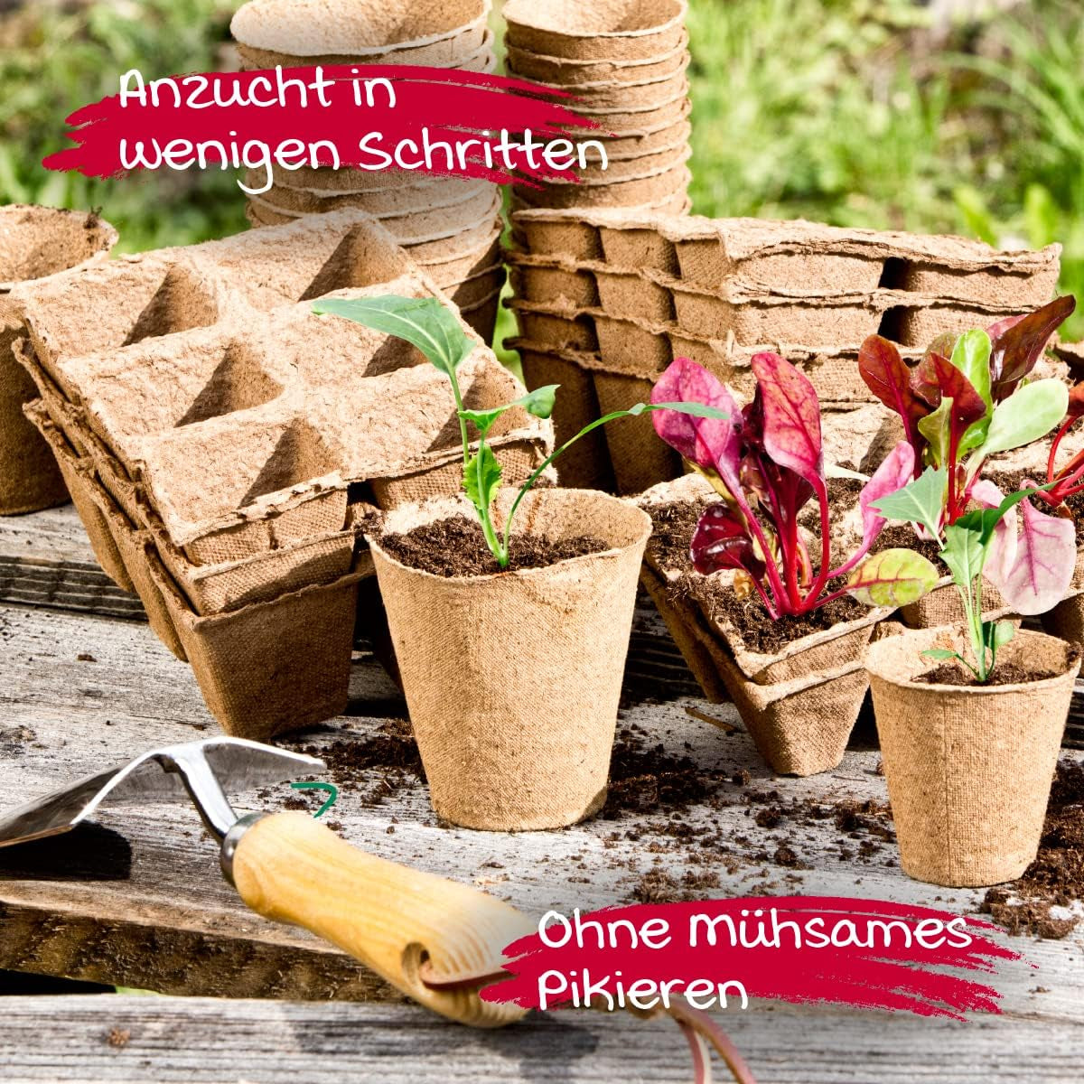 Windhager frøplantepotter, 48 stykker, diameter 8 cm, brun, uden tørv, 04343