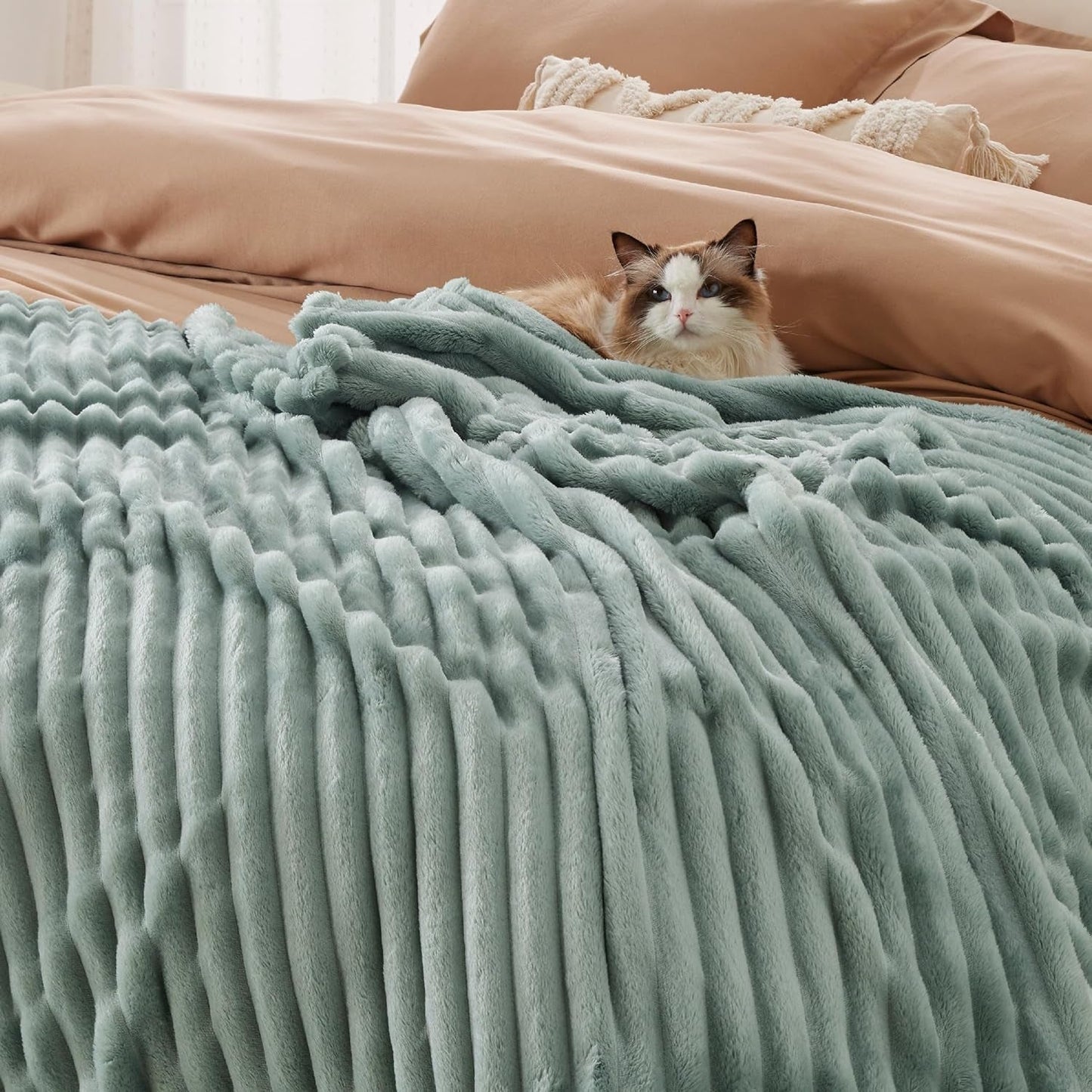BEDSURE Sage Green Fleece tæppe til sofa - Super bløde hyggelige tæpper til kvinder, sødt lille tæppe til piger, 127 X 152 Cm senge og tæpper Beuche den BEDSURE-Store