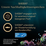 SHEBA-fileter Voksen Katzenfutter i Sauce med Kylling, Hochseefisch og Garnelen 16 x 60 g Shell