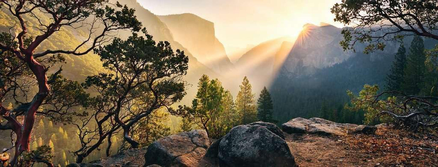 Ravensburger Puzzle 15083 - Yosemite Park - 1000 brikker puslespil til voksne og børn over 14 år i panoramaformat Puslespil Naty Shop