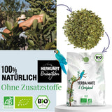 ORIGEENS BIO YERBA MATE TEA 1 KG - The Original I Uristet, blade, uden stængler, støv og krummer I Energigivende og afgiftende drik