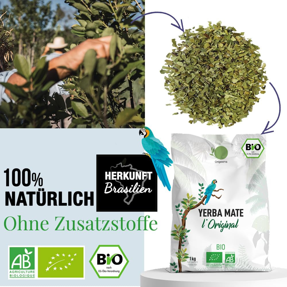 ORIGEENS BIO YERBA MATE TEA 1 KG - The Original I Uristet, blade, uden stængler, støv og krummer I Energigivende og afgiftende drik