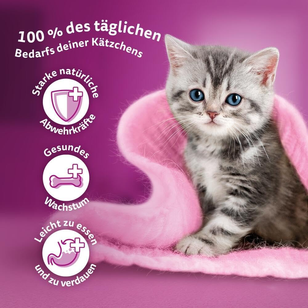 WHISKAS Junior vådfoderposer, multipakke, udvalg af fjerkrækød i gelé, 12 x 85 g