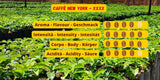 Caffè New York - XXXX - Hel kaffebønne - 1000g