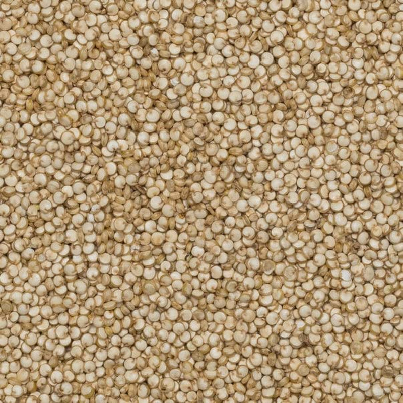 Wholefood Earth Organic Quinoa korn – 2 kg | Grusom | Ikke-GMO | Vegansk | Rig på fibre | Certificeret økologisk