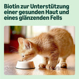 Amazon Mixed Selection vådfoder til unge katte i gelé 1,2 kg (12 100 g poser)