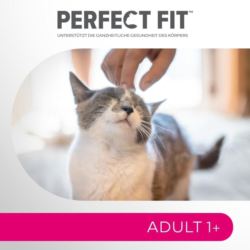 Perfect Fit Adult 1+ vådfoderudvalg med laks, dybhavsfisk, oksekød og kylling, 48 poser, 12x85g (pakke med 4) - Premium vådfoder til voksne katte fra 1 år