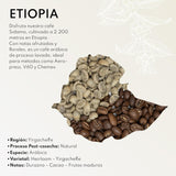Boconó Specialty Coffee Ethiopia 100% Arabica, mellemristet, 1 kg - Ideel til V60, Chemex, Kalita kaffe mv.