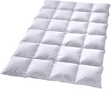 Dundyne Billerbeck Martina® - Dyne 135 X 200 Cm - Dyne til alle årstider - Velegnet til allergikere - 90% gåsedun, 10% gåsefjer - Hvide dyner og dyner Naty Shop