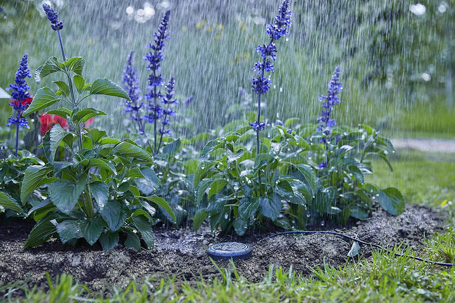 Gardena forlængerkabel (10 m) til regnsensor og jordfugtighedssensor, tilslutningskabel med Easy Click-system, kan forlænges op til 105 m, til brug over og under jorden (01868-20)