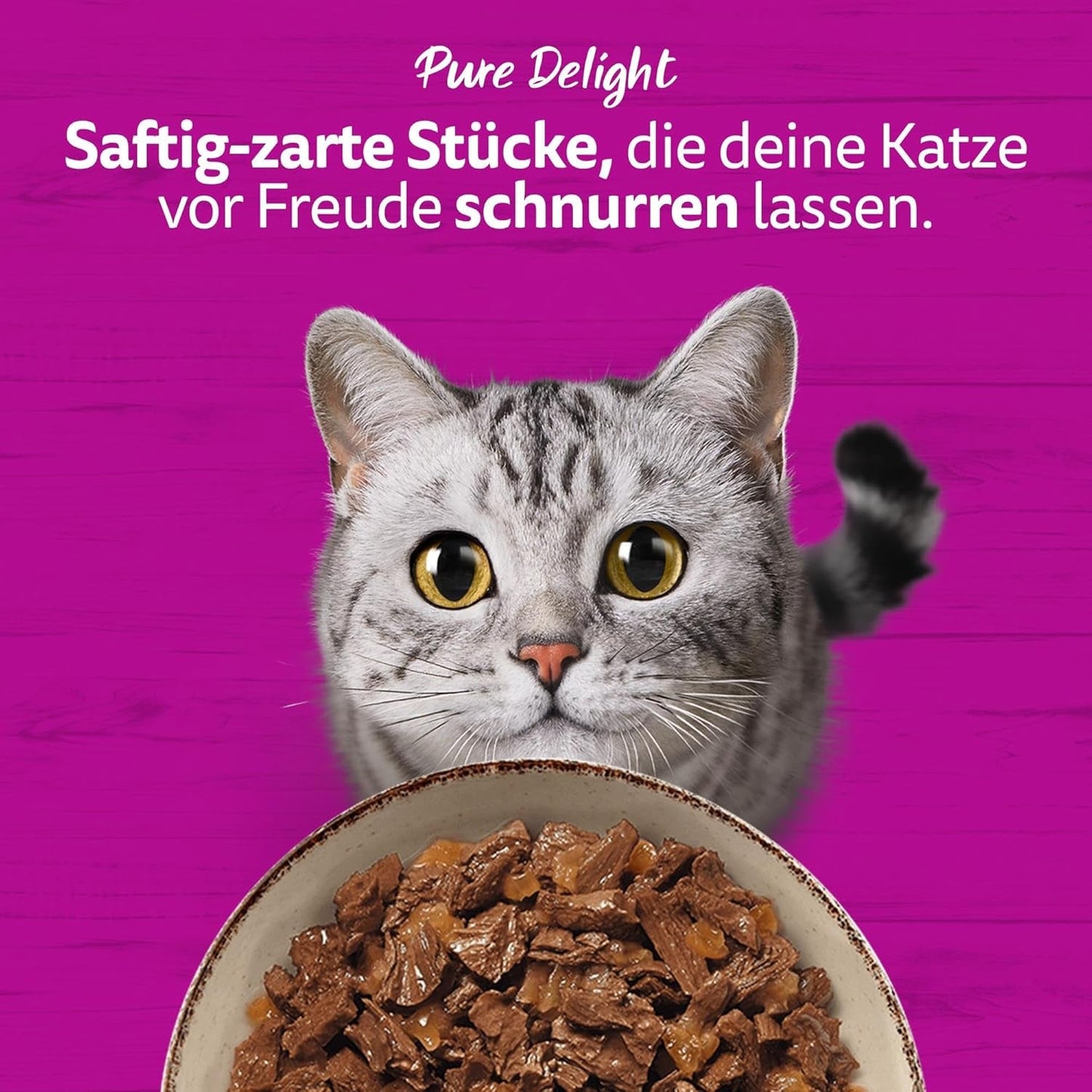 WHISKAS PURE DELIGHT Vådfoder i gelé 24 x 85g Classic Ragout (4 pakker) 48 portionsposer