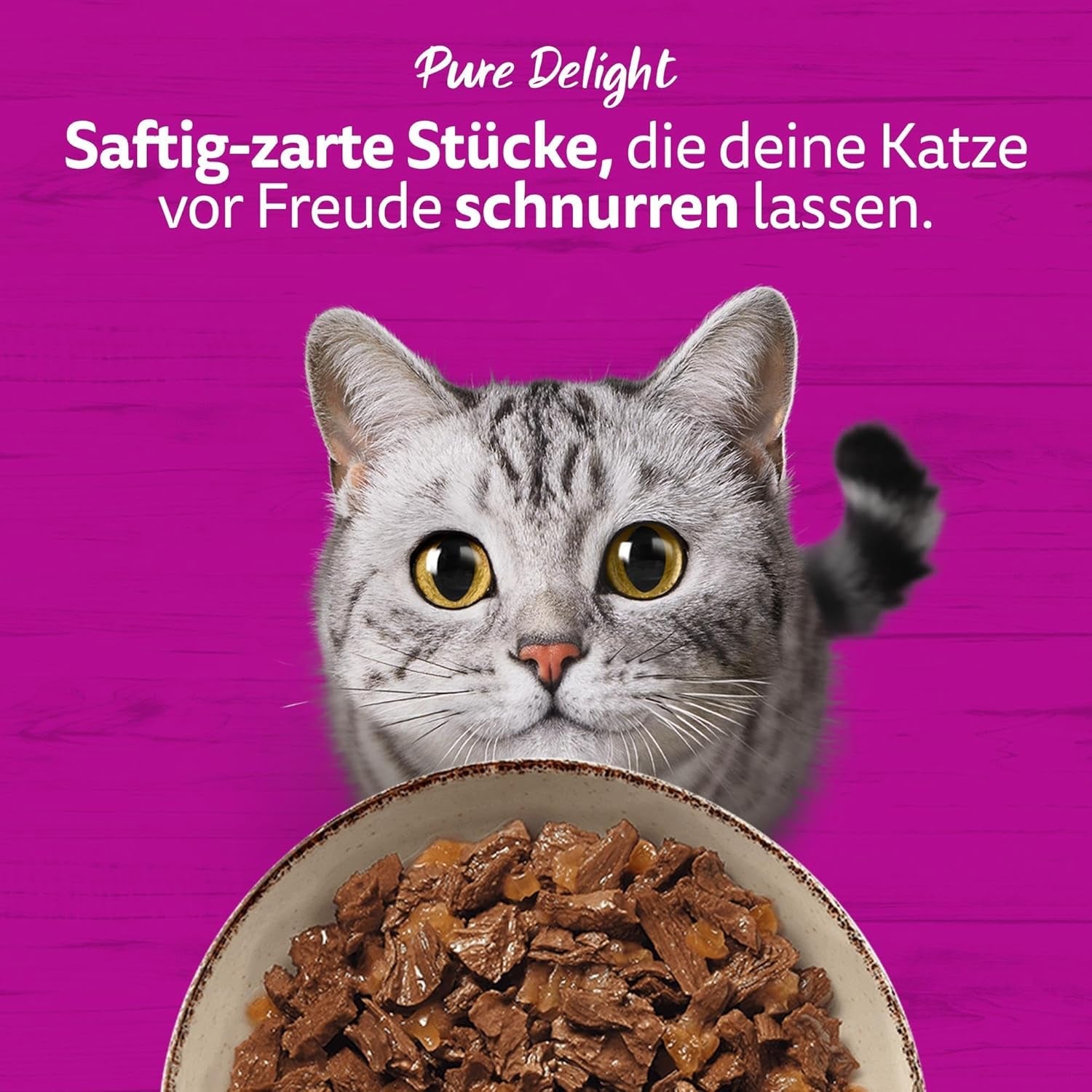 WHISKAS PURE DELIGHT Vådfoder i gelé 24 x 85g Classic Ragout (4 pakker) 48 portionsposer