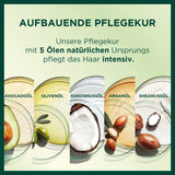 Garnier Nutrisse Permanent Care Hårfarve med nærende frugtolier, 8 ugers hold, Ultra Crème Tint, 036 Black Cherry (pakke med 2) Naty Shop hårfarve