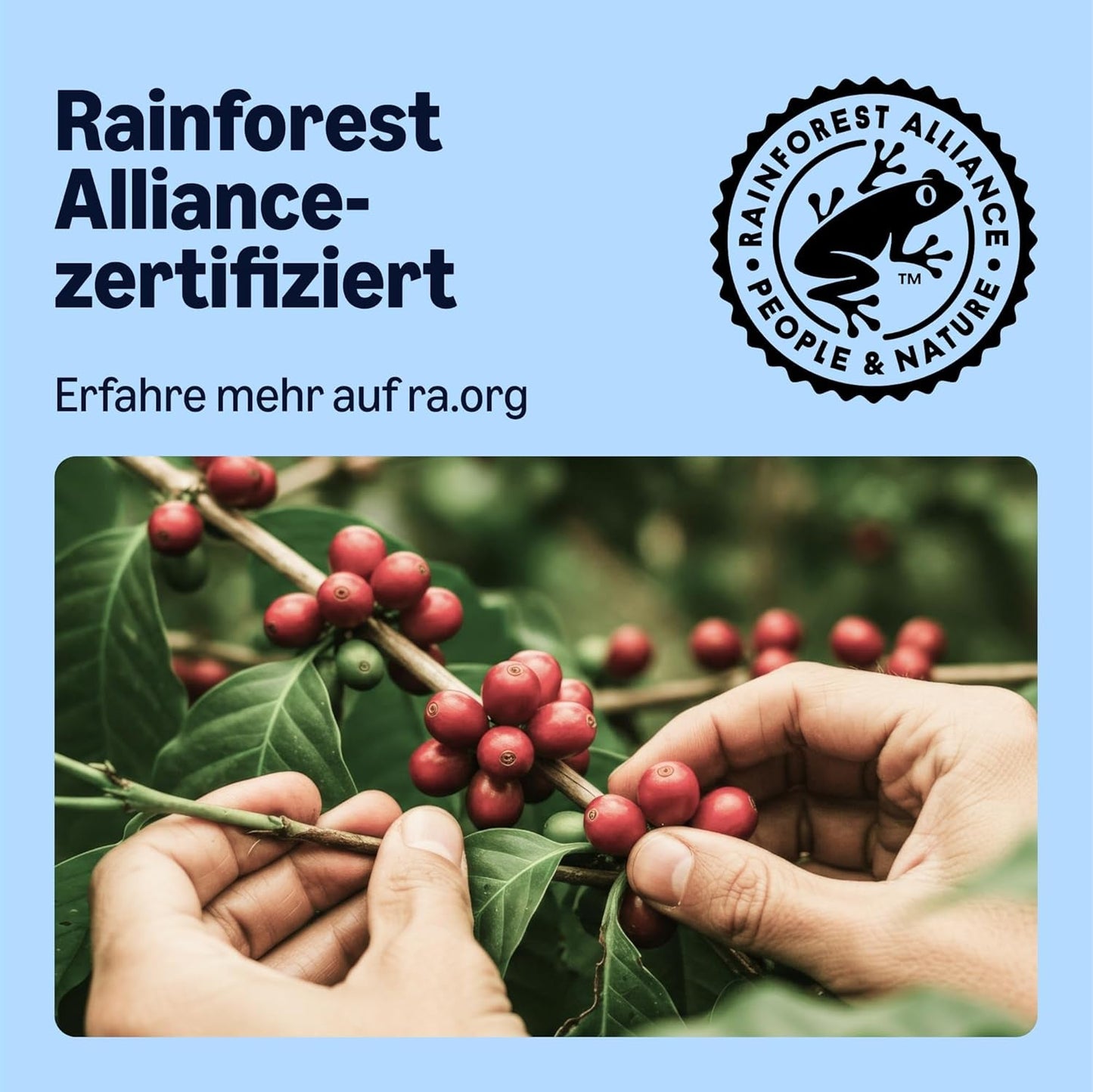 af Amazon Entkoffeinierte 100% Arabica-Kaffeepads, geeignet für Senseo-Maschinen, medium Röstung, 36 Stück (1 Packung mit 36 ​​​​Stück) – Rainforest Alliance-zertifiziert