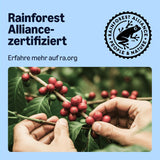 af Amazon Entkoffeinierte 100% Arabica-Kaffeepads, geeignet für Senseo-Maschinen, medium Röstung, 36 Stück (1 Packung mit 36 ​​​​Stück) – Rainforest Alliance-zertifiziert