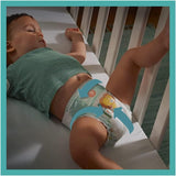 Bleer PAMPERS Baby-DRY str. 7 123